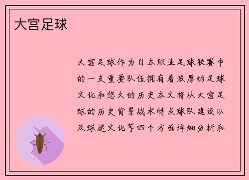 大宫足球