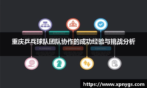 米兰重庆乒乓球队团队协作的成功经验与挑战分析